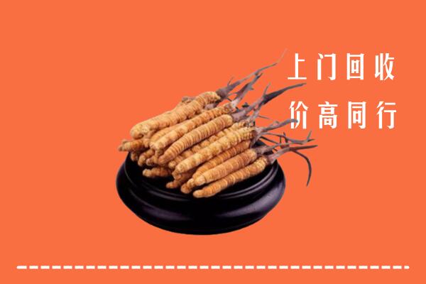 附近收购：友谊县冬虫夏草回收多少钱每克